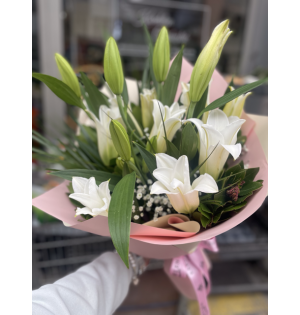 Vip kazablanka 2233